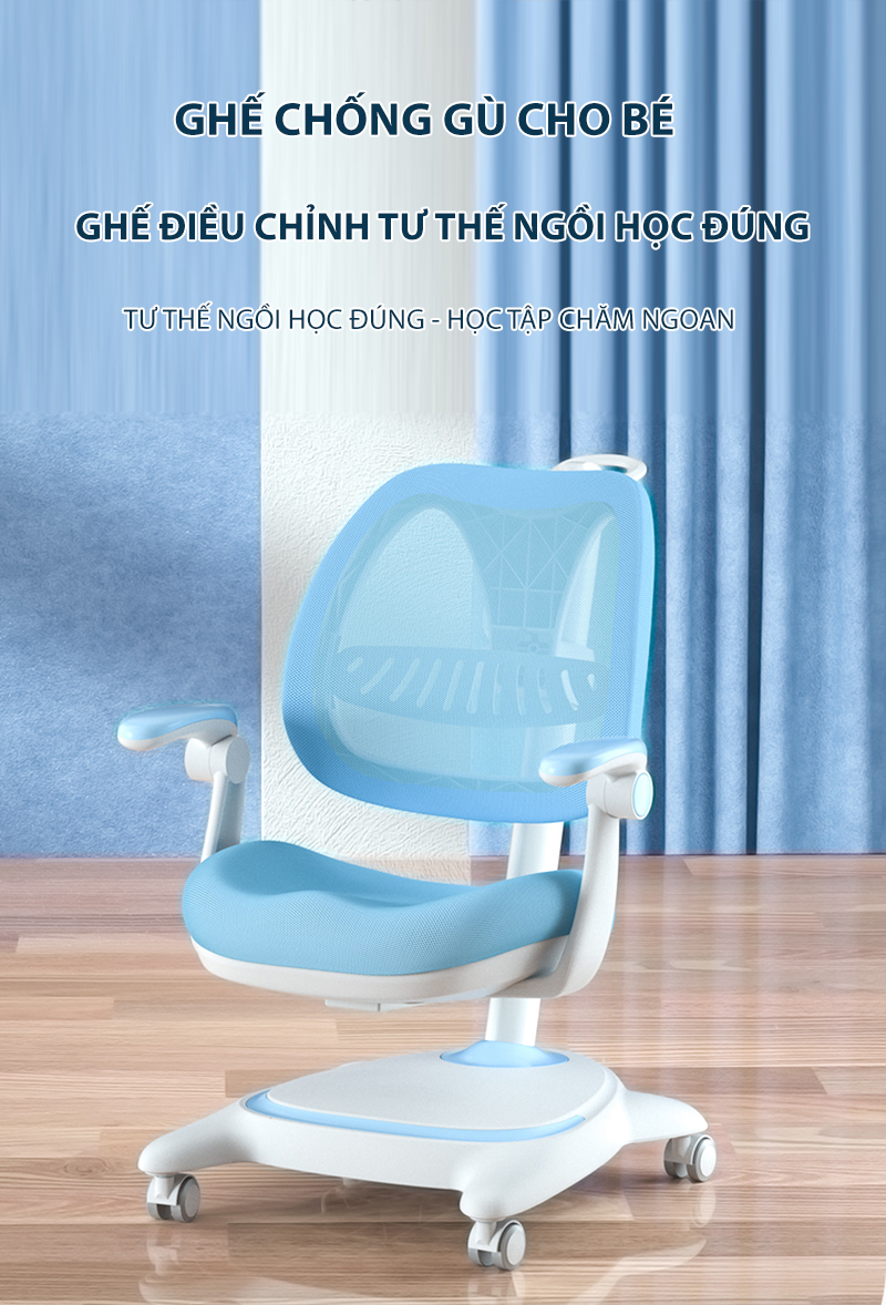 Ghế  chống gù cao cấp DSY-1002