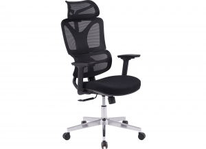 Ghế công thái học cao cấp GLE19