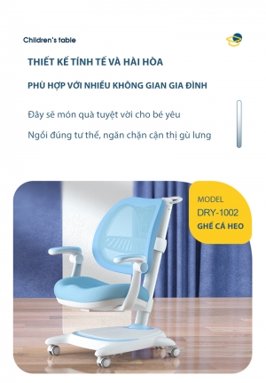 Ghế  chống gù cao cấp DSY-1002