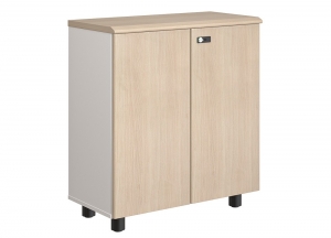 Tủ tài liệu NEWTREND NTV880D