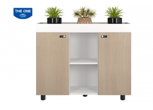Tủ tài liệu NEWTREND NTV1000-3T2