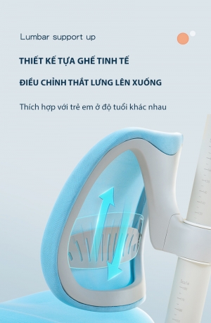 Ghế  chống gù cao cấp DSY-1002