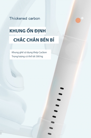 Ghế  chống gù cao cấp DSY-1002