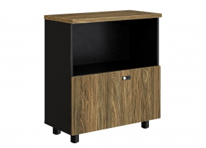 Tủ tài liệu NEWTREND NTV880SD